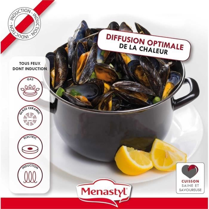 THEKITCHENETTE Marmite pot 3645567 2,7L All heat sources including induction