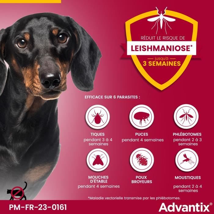 ADVANTIX 4 antiparasitic pipettes - For very small dogs from 1.5 to 4kg