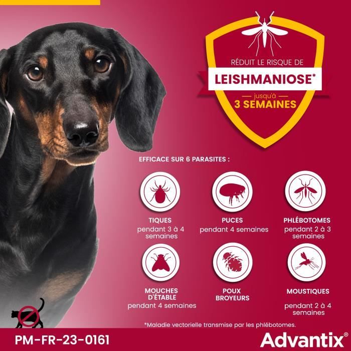 ADVANTIX 4 antiparasitic pipettes - For small dogs from 4 to 10kg