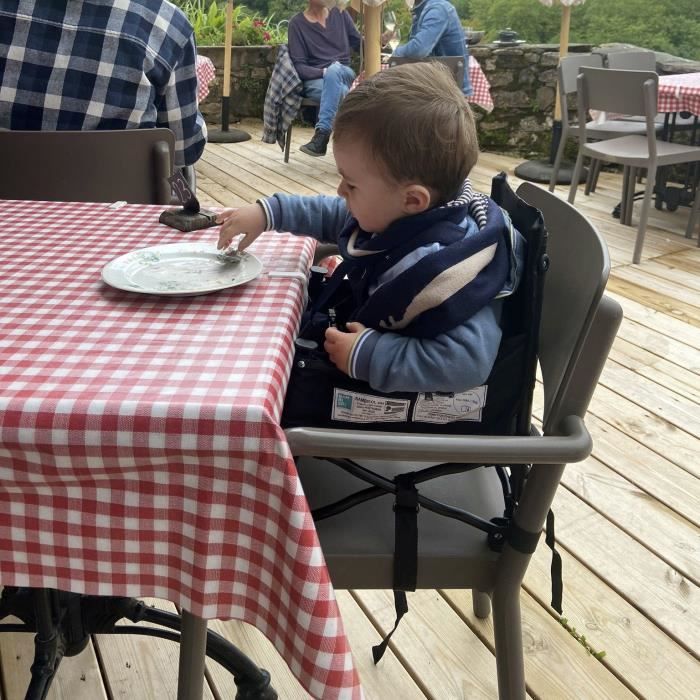 BAMBISOL - Portable Baby Booster Convertible into Child Chair - Removable Tablet, Quick and Compact Folding, Carry Bag