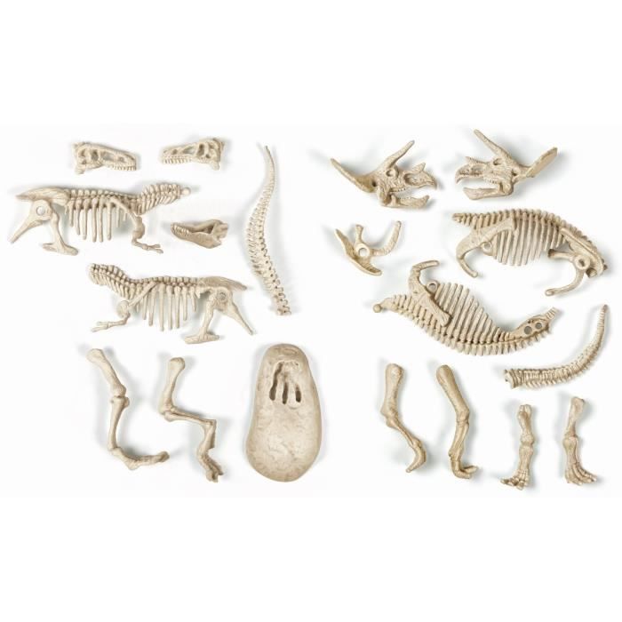 CLEMENTONI Archéo Ludic - T-Rex & Triceratops Phosphorescent - Science & Game