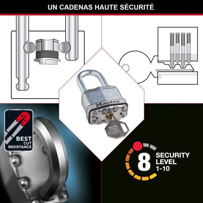 Steel padlock - 50 mm - D: 8 mm - octagonal shackle