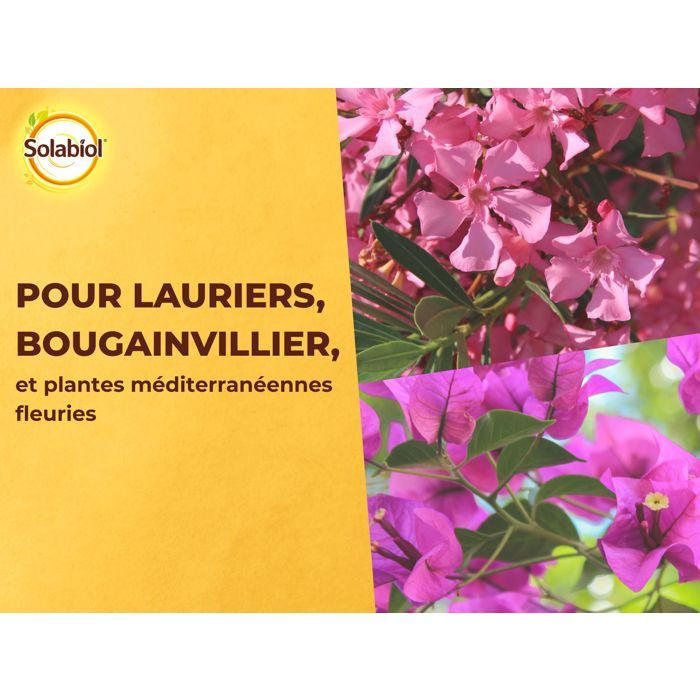 SOLABIOL SOLAURY15 Laurel And Bougainvillea Fertilizer - 1.5 Kg