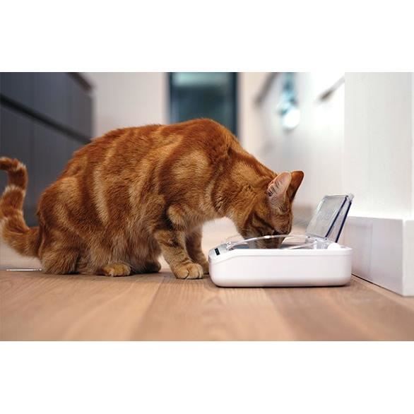 SUREFLAP Automatic Food Dispenser - SureFeed hermetic bowl - for cats and small dogs