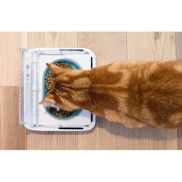 SUREFLAP Automatic Food Dispenser - SureFeed hermetic bowl - for cats and small dogs