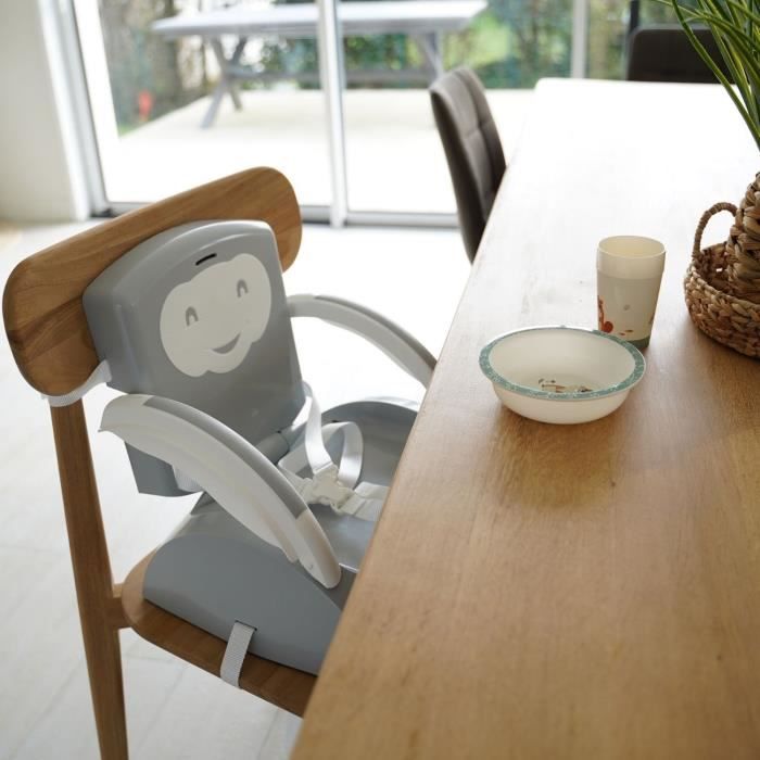 THERMOBABY BOOSTER of Chair 2 in 1 Charming Gray