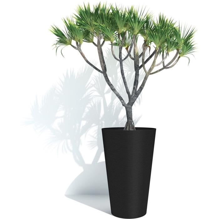 Tall flowerpot - GARDEN ID - Green Care Sense Tall Black-Anthracite - 55 cm - 10 year guarantee - 100% recycled - UV and frost resistant