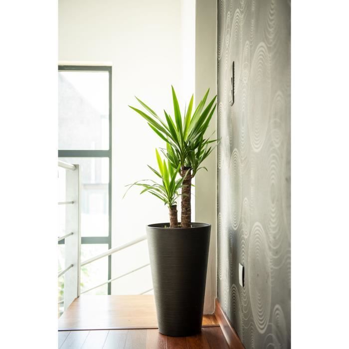 Tall flowerpot - GARDEN ID - Green Care Sense Tall Black-Anthracite - 55 cm - 10 year guarantee - 100% recycled - UV and frost resistant