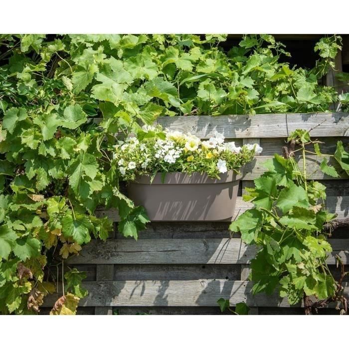 Planter + hook - GARDEN ID Star - Taupe 50 x 21 cm - Easy fixing - Water reserve - recycled and 100% recyclable