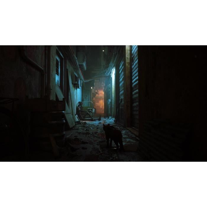 Stray - Nintendo Switch Game
