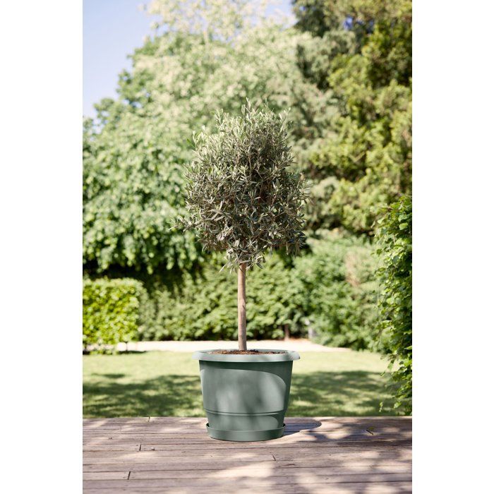 Round Flower Pot - ELHO - Amiga Round 55 - 55 L - Ø 55 x H 51 cm - Green - For Outdoor Use