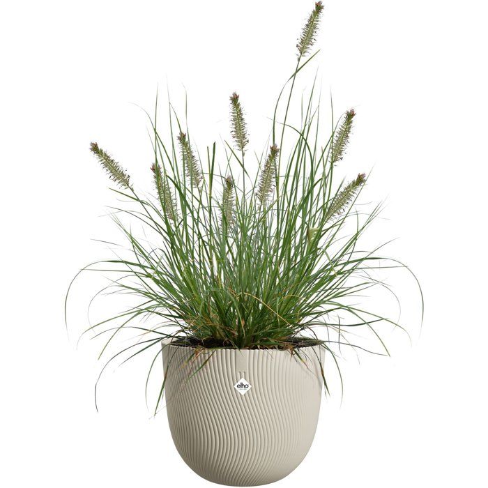 Round Flower Pot - ELHO - Sereh Round 60 - 110 L - Ø 59 x H 51 cm - Beige - Indoor/Outdoor