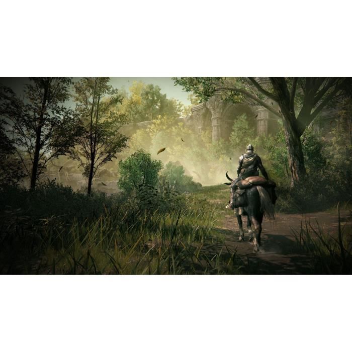 Elden Ring Shadow Of The Erdtree Goty - PS5 Game