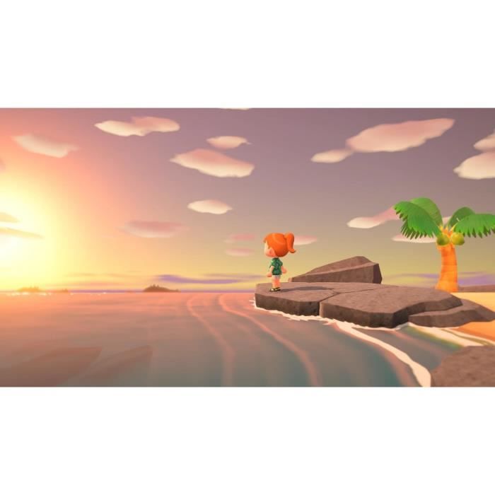 Nintendo Switch Animal Crossing: New Horizons Game