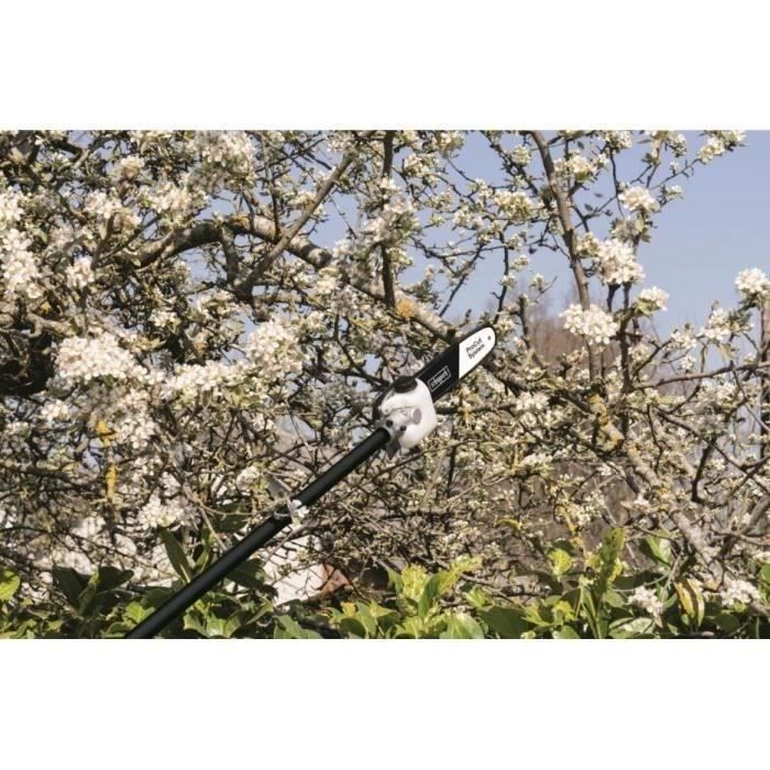 SCHEPPACH 52CC 4 in 1 petrol brush cutter (brush cutter, pruner, hedge trimmer, edger)