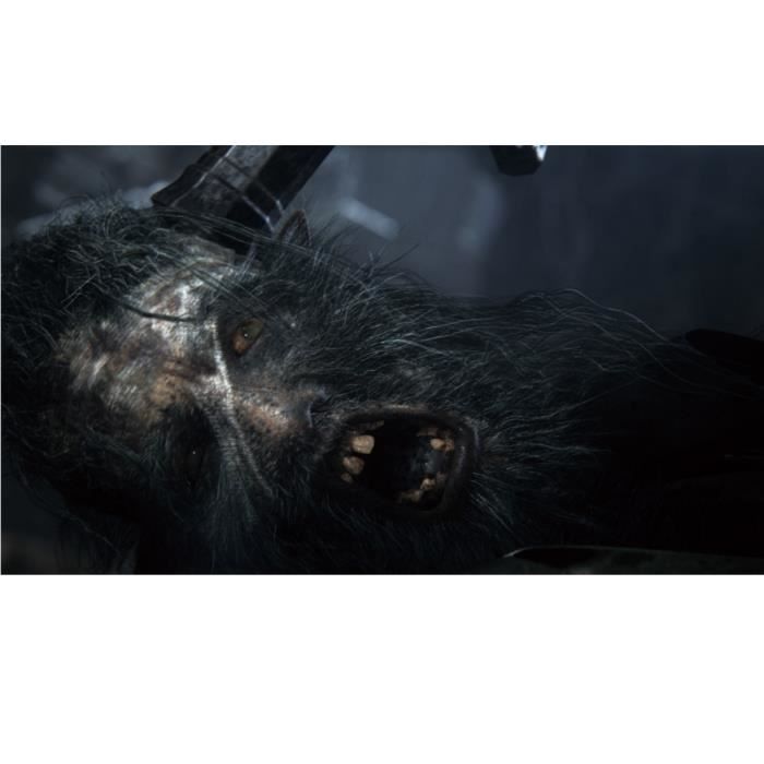 Bloodborne PlayStation Hits PS4 Game