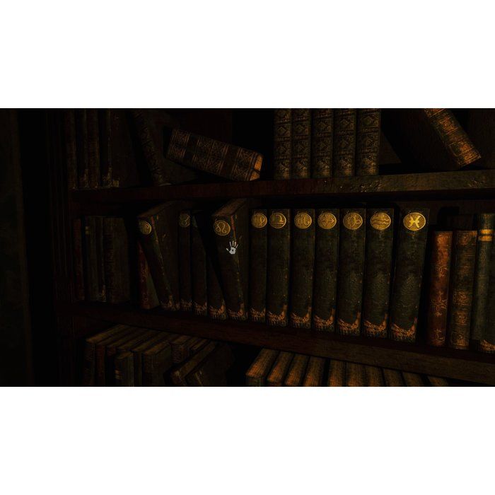 8436016713153