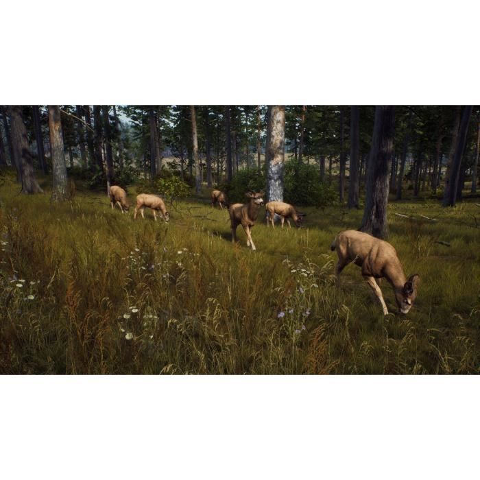 Way of the Hunter Wild Expeditions - PS5 Game