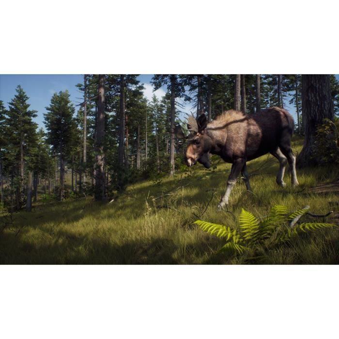 Way of the Hunter Wild Expeditions - PS5 Game