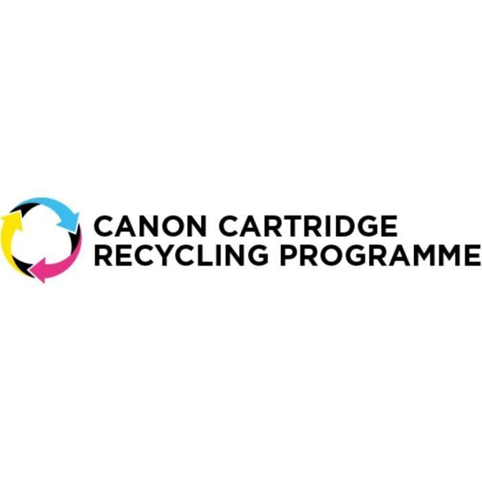 Multipack ink cartridges - CANON - PGI-1500 Black/Cyan/Magenta/Yellow