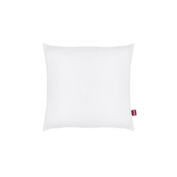 Abeil Lot of 2 anti -Acarian pillows - 60 x 60 cm - White