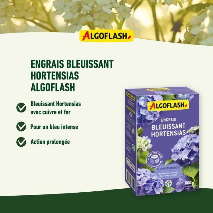Blue Hydensias fertilizer - Algoflash Naturasol Naturasol - Extended action 800g