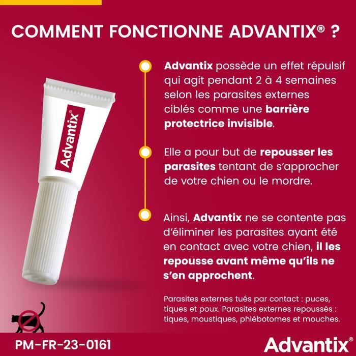 Advantix Dog Antiparasitic solution very large breed 40 to 60kg 6 pipettes