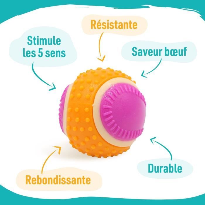 Dog Ball - AIMÉ - 5 in 1 Beef Flavor