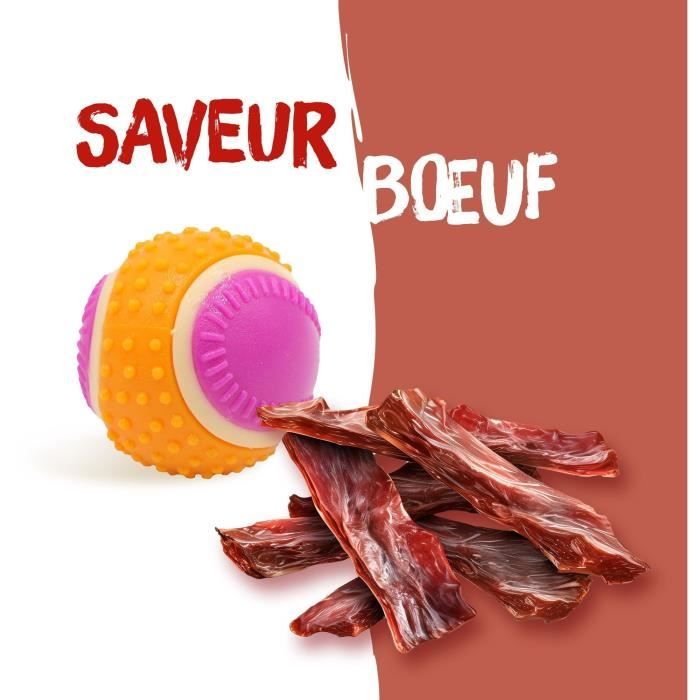 Dog Ball - AIMÉ - 5 in 1 Beef Flavor