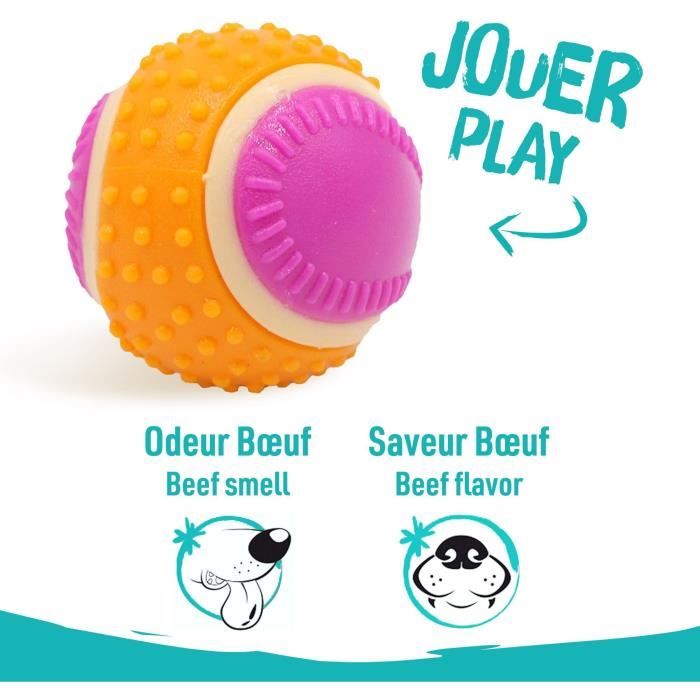 Dog Ball - AIMÉ - 5 in 1 Beef Flavor