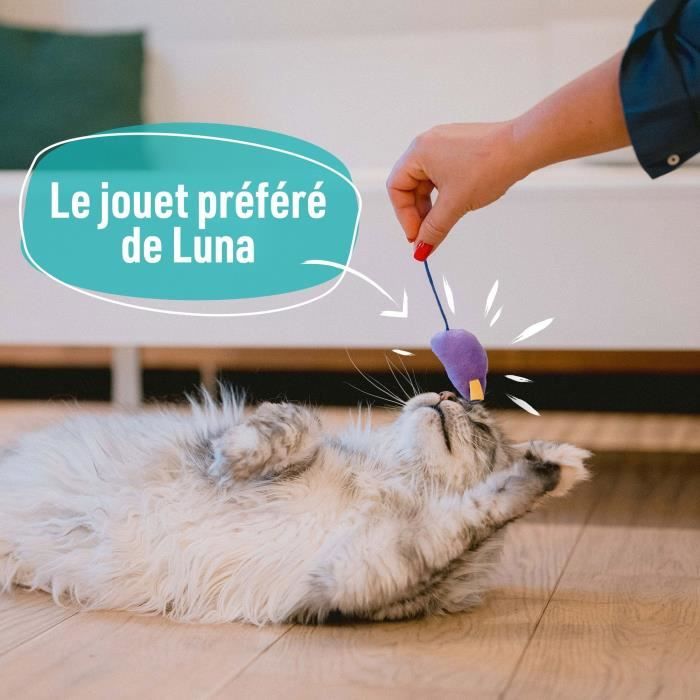 7 Cat Toys - LOVED