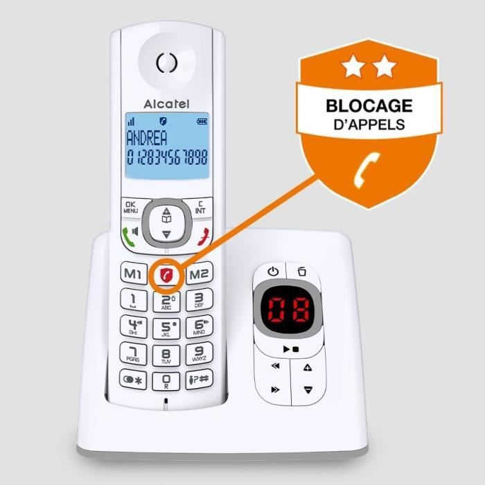 Alcatel Classic F530 Voice Solo Gray Cordless phone