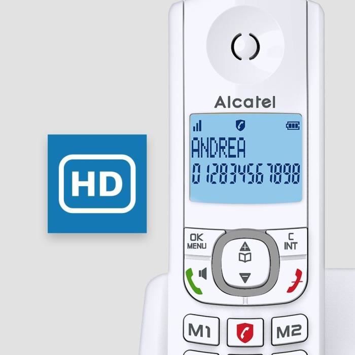 Alcatel Classic F530 Voice Solo Gray Cordless phone