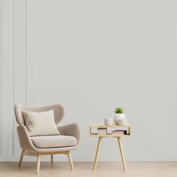RIPOLIN Ultra Covering Satin Color Paint for Kitchen, Bedroom, Living Room, Hall, Entrance, Hallway - Cetus Gray