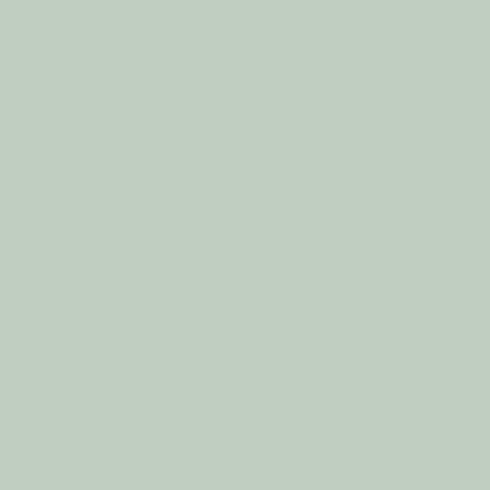 RIPOLIN Ultra Covering Satin Color Paint for Kitchen, Bedroom, Living Room, Hall, Entrance, Hallway - Palatino Green