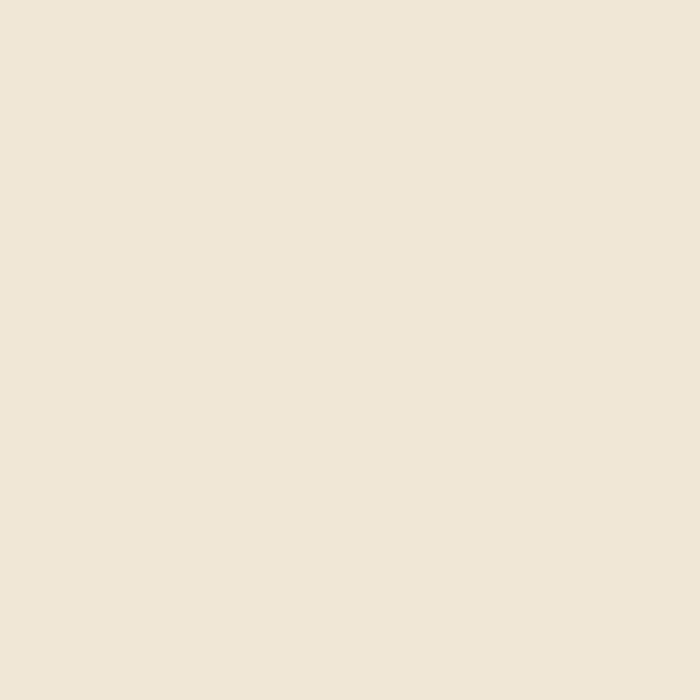 Multi-surface decorative spirit, matte off-white - RIPOLIN - 2.5 L