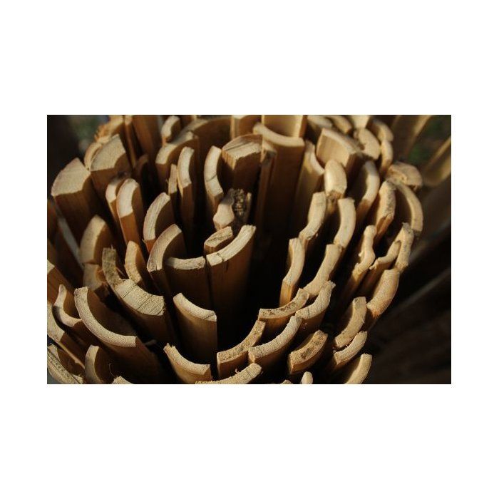 AUC3306130922302