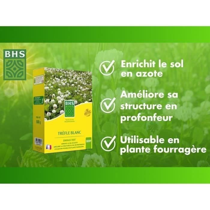 White Clover - BHS - 500 m² | Promotes biodiversity, adapts to all soil types and resists trampling.