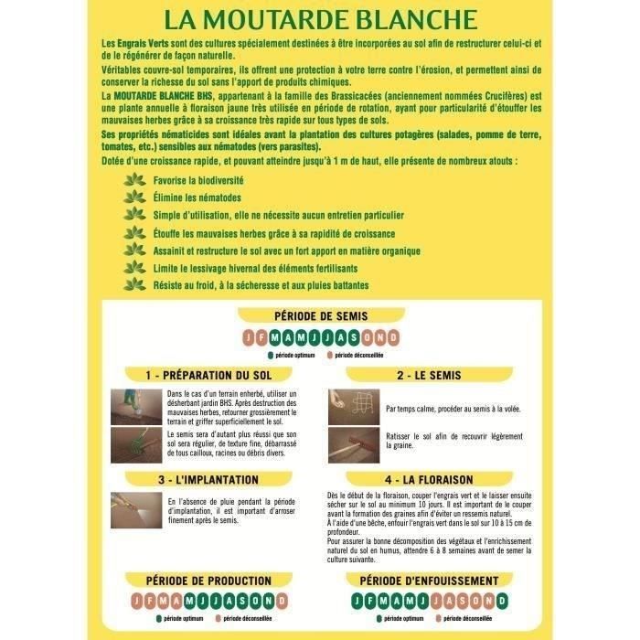 Green Fertilizers - BHS - White Mustard 500g | 100 m² | Improves and disinfects soils for better fertility.