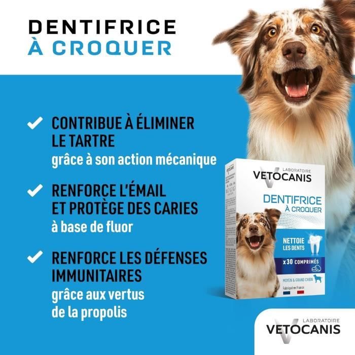VETOCANIS PLAK FIGHTER TOOTHPASTE WITH CROQ 30COMP