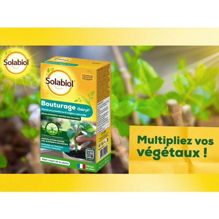 SOLABIOL SOBOUTU40 Osiryl cutting - 40 ml