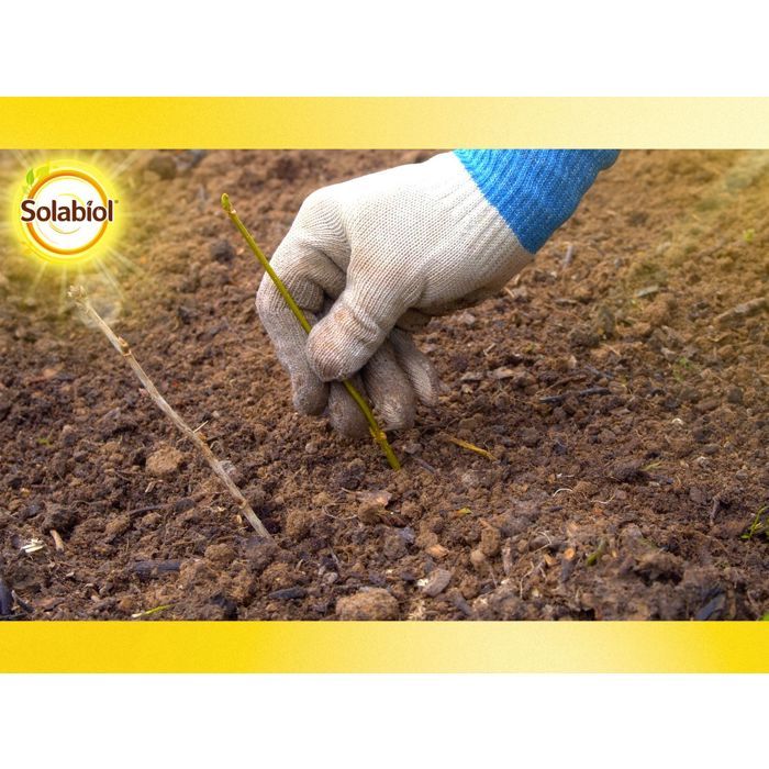 SOLABIOL SOBOUTU40 Osiryl cutting - 40 ml