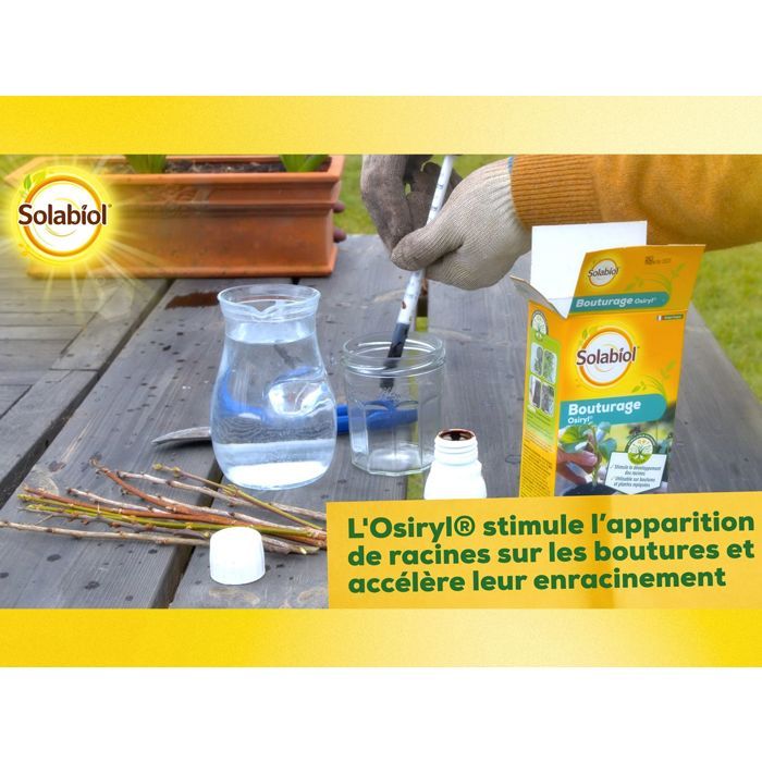 SOLABIOL SOBOUTU40 Osiryl cutting - 40 ml