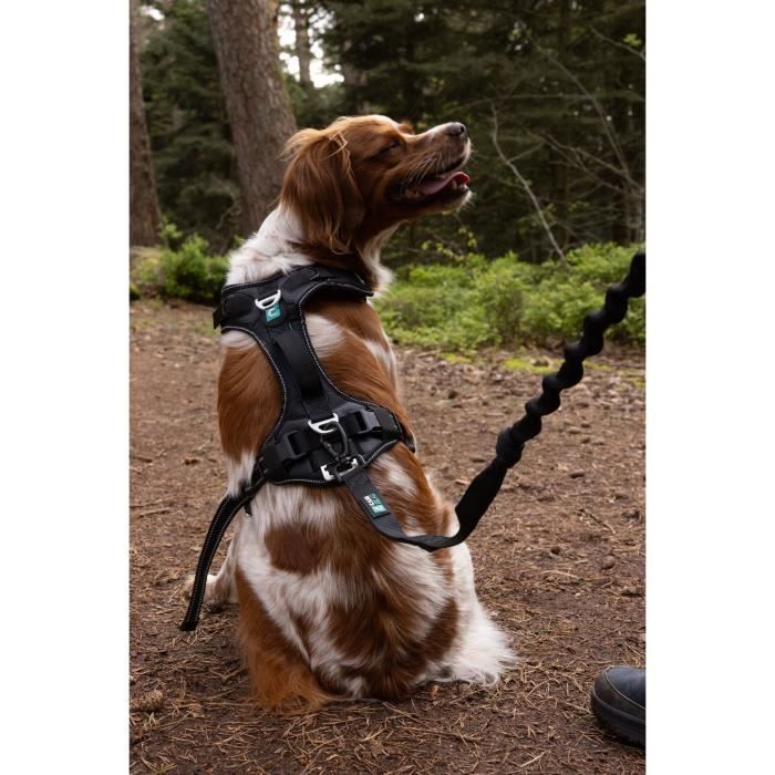 Dog Harness - SYMBIOZ - XXS - Black / Blue