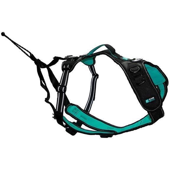 Dog Harness - SYMBIOZ - XXS - Black / Blue