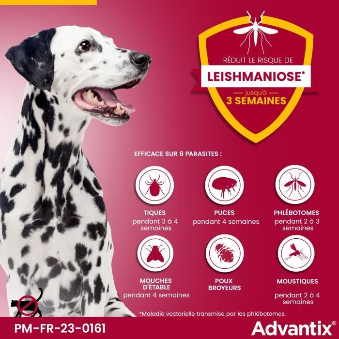 Advantix Dog Large breed antiparasitic solution 25 A 40kg 4 pipettes