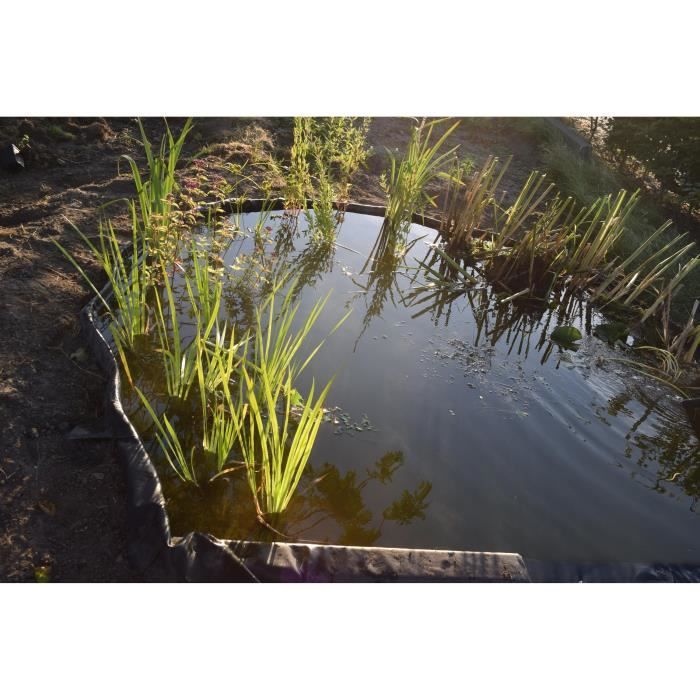 NATURE Borderfix Borderfix PVC Border and Garden Basin - Thickness 7 mm - H 14 cm x 15 m