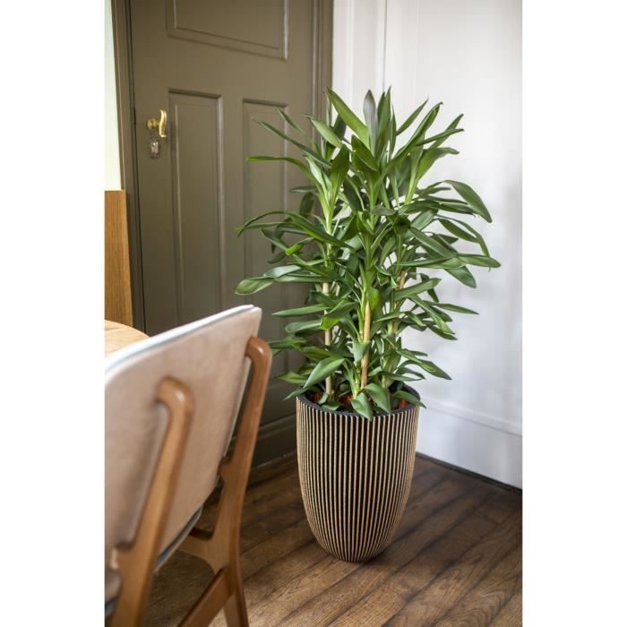 Capi Elegant Groove Vase 34x46 cm Black and gold 445494