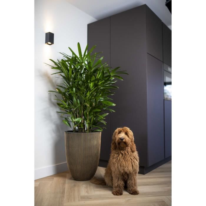 Capi Elegant Groove Vase 46x58 cm Black and gold 445495