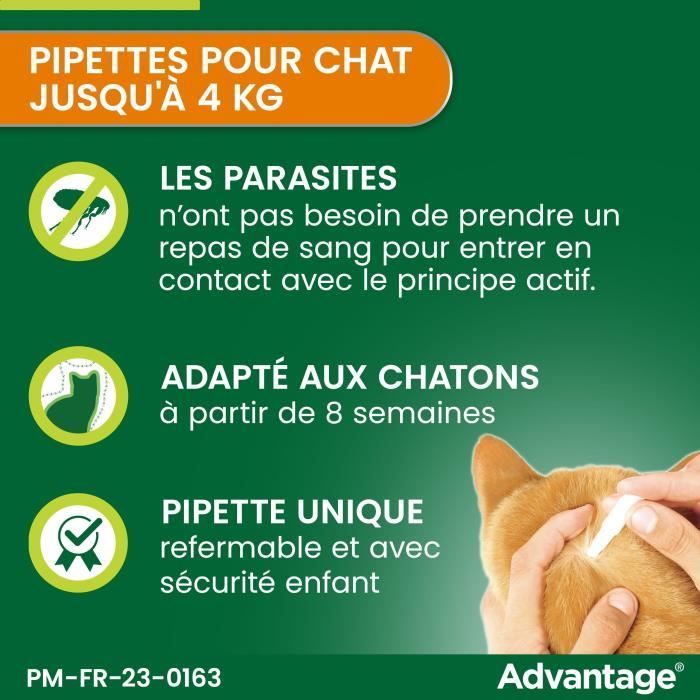 Advantage antipuce rabbit chat solution 1 to 4kg 4 pipettes